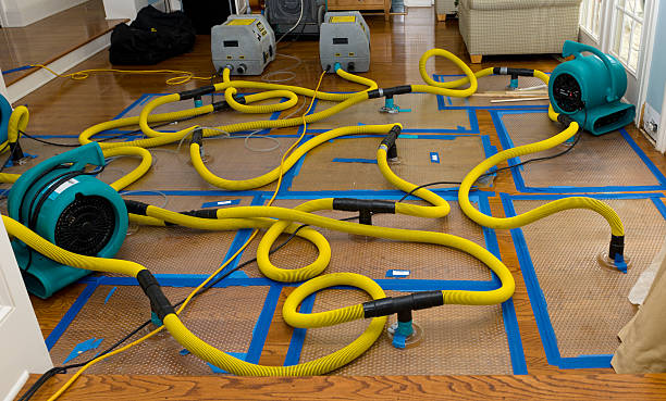 Professional Crawl Space Water Removal technician working in Freeport, MI